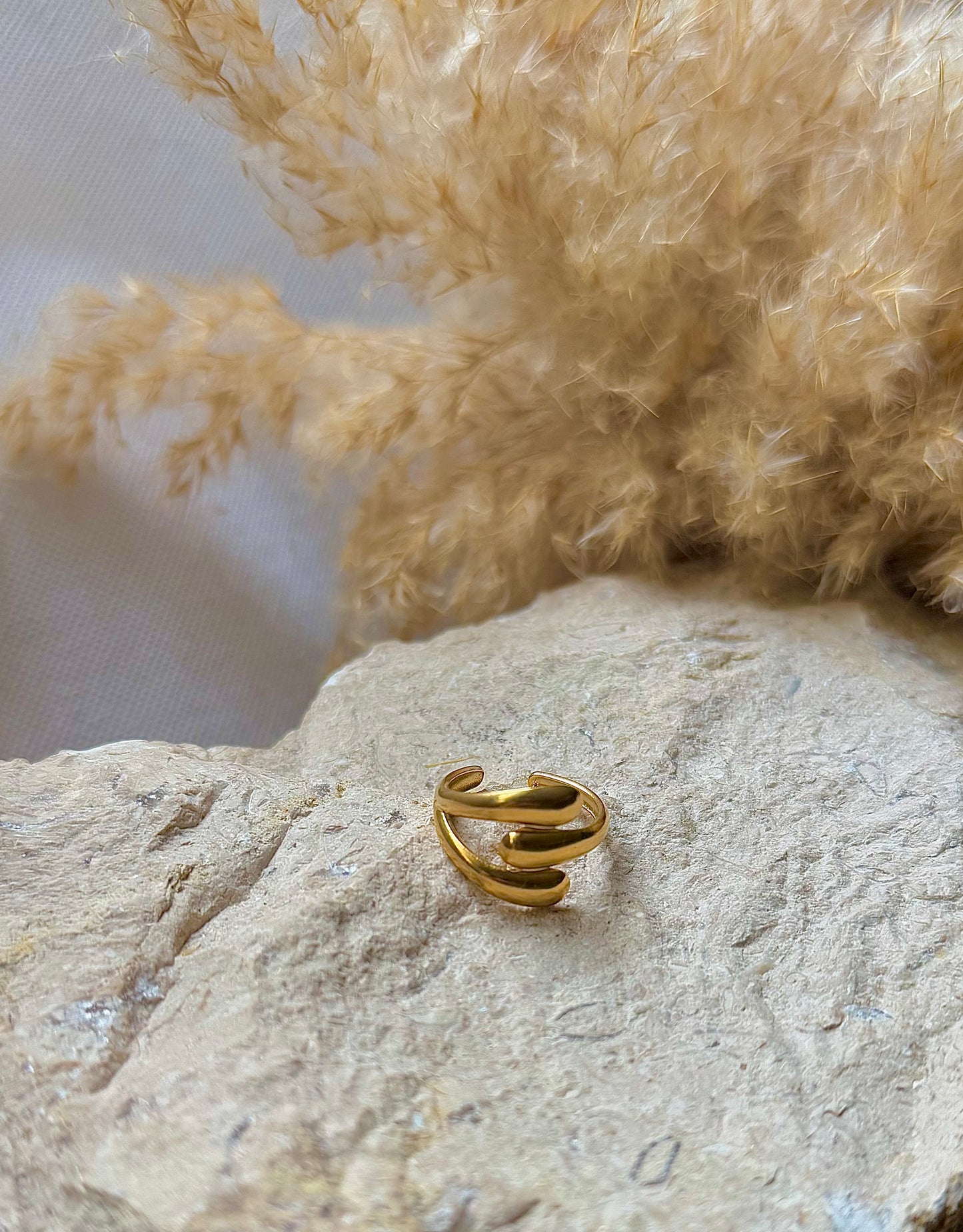 Twisted ring stone